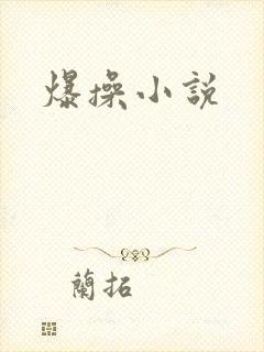 爆操小说封面