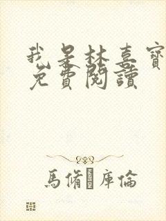 我是林喜宝小说免费阅读