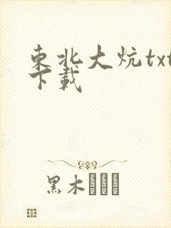 东北大炕txt下载