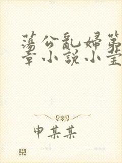 荡公乱妇第51章小说小莹