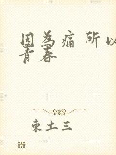 因为痛 所以叫青春