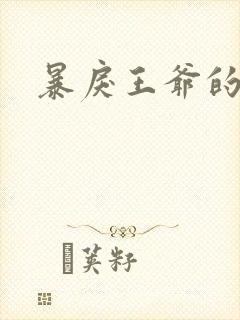暴戾王爷的贱妾封面