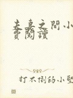 夫妻之间小说免费阅读