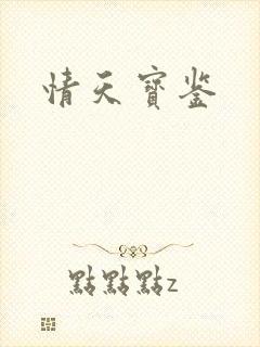 情天宝鉴封面