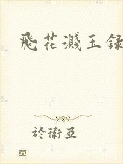 飞花溅玉录封面