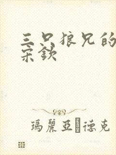 三只狼兄的宠妻宋钦