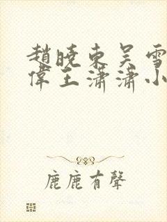 赵晓东吴雪晴郑伟王潇潇小说封面