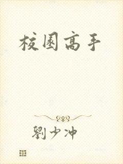 校园高手