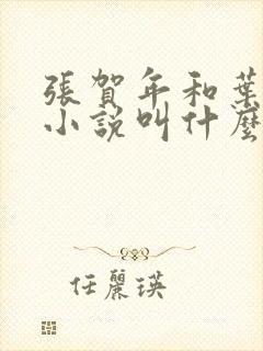 张贺年和叶繁姿小说叫什么名字