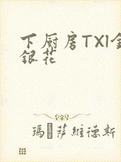 下厨房TXl金银花