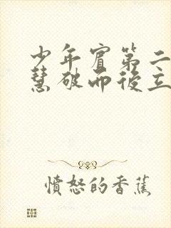 少年宾第二部珏慧破而后立封面