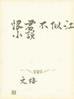 恨君不似江楼月小说