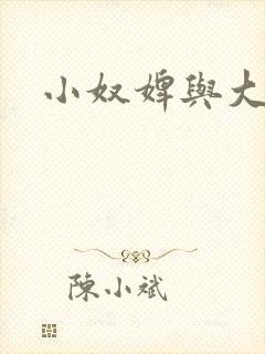 小奴婢与大少爷