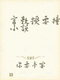 言教授要撞坏了小说