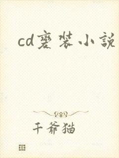 cd变装小说