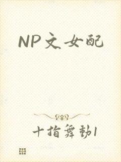 NP文女配