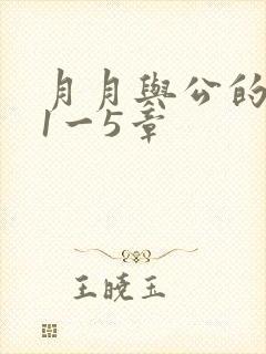 月月与公的激情1一5章