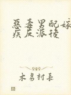 恶毒男配嫁给残疾反派后