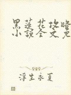 黑莲花攻略手册小说全文免费阅读笔趣阁封面