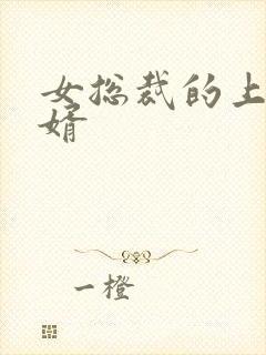 女总裁的上门女婿