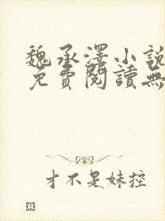 魏承泽小说全文免费阅读无弹窗笔趣