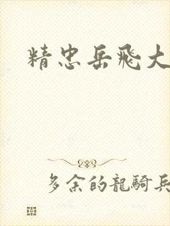 精忠岳飞大结局