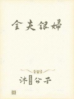 金夫银妇封面