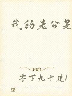 我的老公是冥王封面