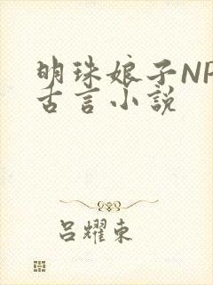 明珠娘子NPC古言小说