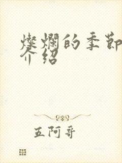 灿烂的季节剧情介绍