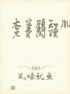 木宁顾知胤小说免费阅读