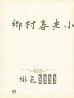 乡村春光小说
