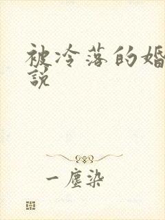 被冷落的婚姻小说