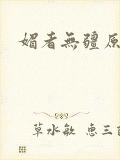 媚者无疆原著封面