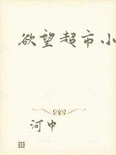 欲望超市小说