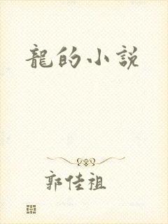 龙的小说封面