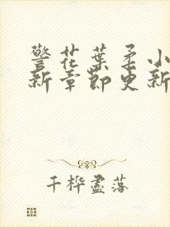 警花叶柔小说最新章节更新