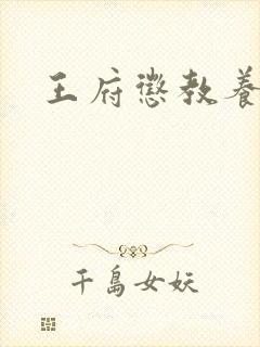 王府惩教养日常封面