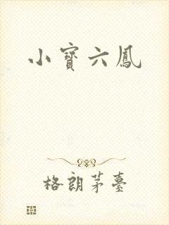 小宝六凤
