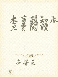 木宁顾知胤小说免费阅读