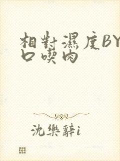 相对湿度BY大口吃肉