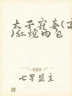 太子宠妾(高肉)红烧肉包