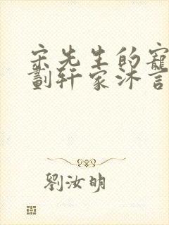 宋先生的宠妻计划轩家沐言