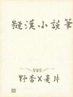 糙汉小说笔趣阁封面