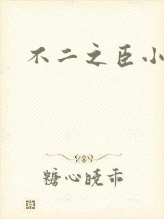 不二之臣小说
