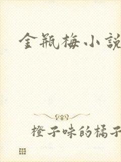 金瓶梅小说下载