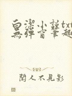 白洁小说txt无弹窗笔趣阁