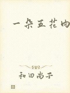 一朵五花肉封面