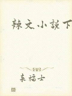 辣文小说下载封面