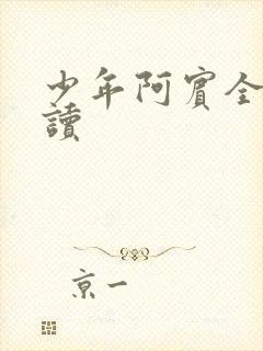 少年阿宾全集阅读